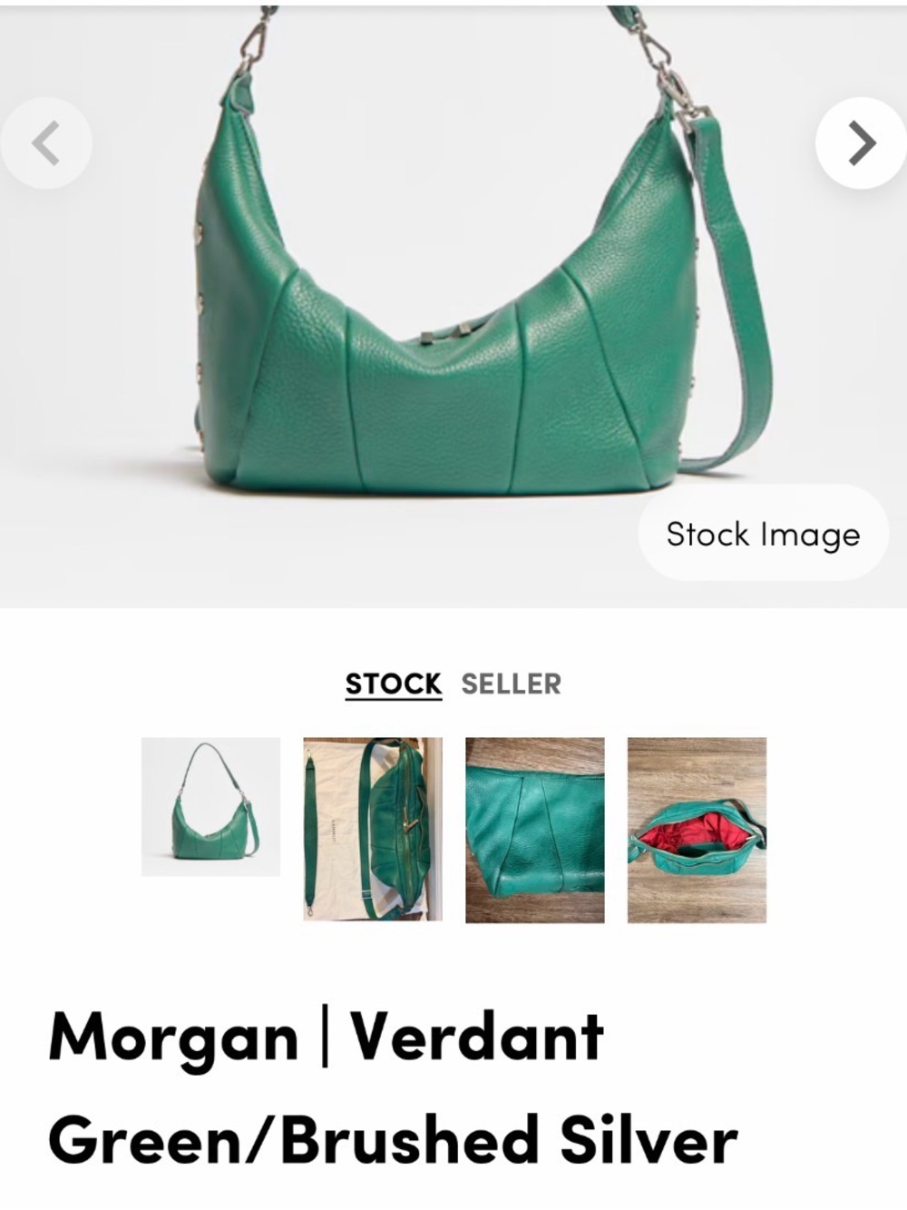 Hammitt Morgan Shoulder Bag in Verdant Green with Brushed Silver
